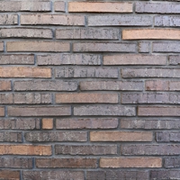 Кирпич клинкерный Скрябин Керамикс Сортировка 53 ригель